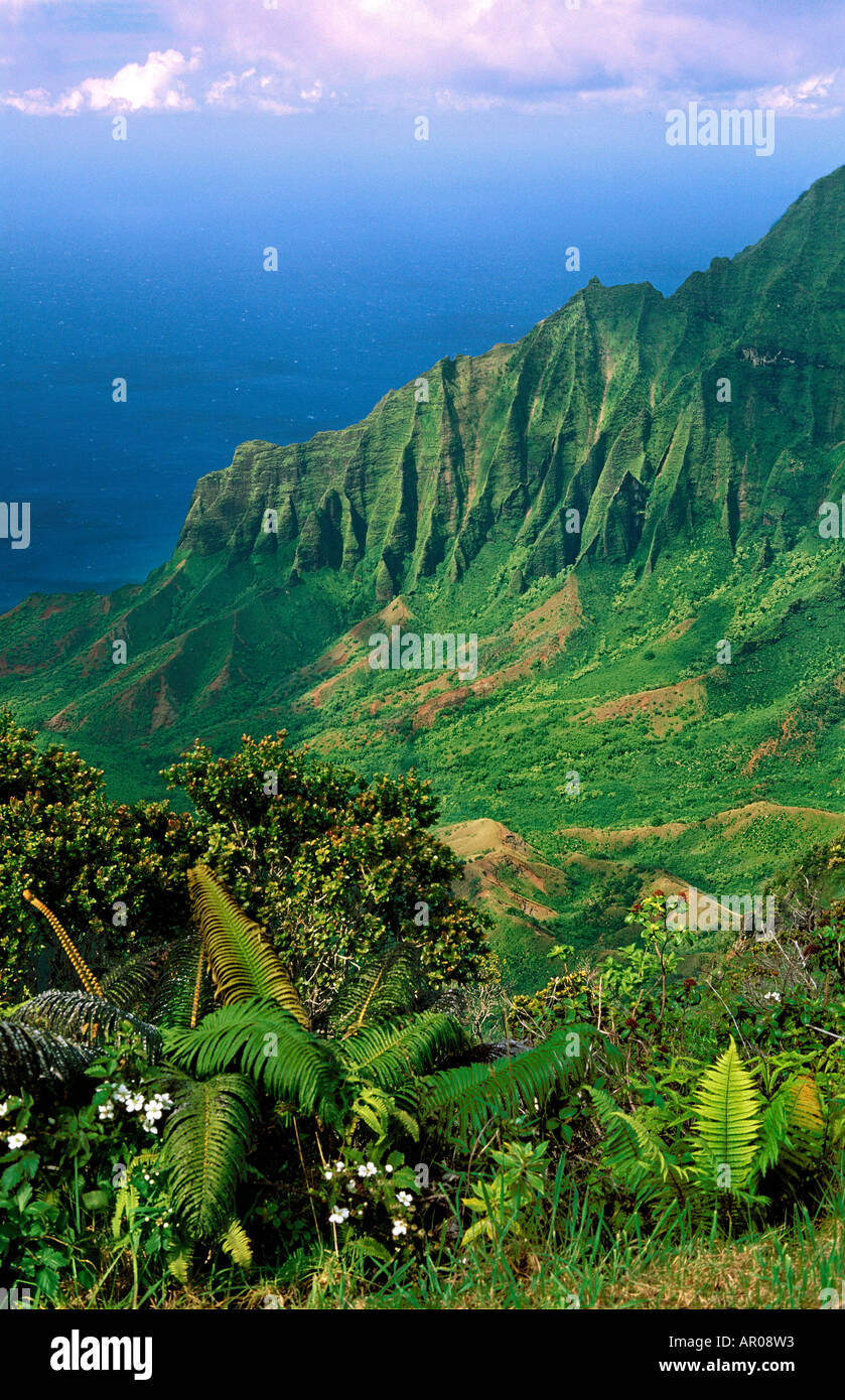 The green cliffs of gorgeous Kalalau Valley Kauaii Hawaii USA Stock Photo