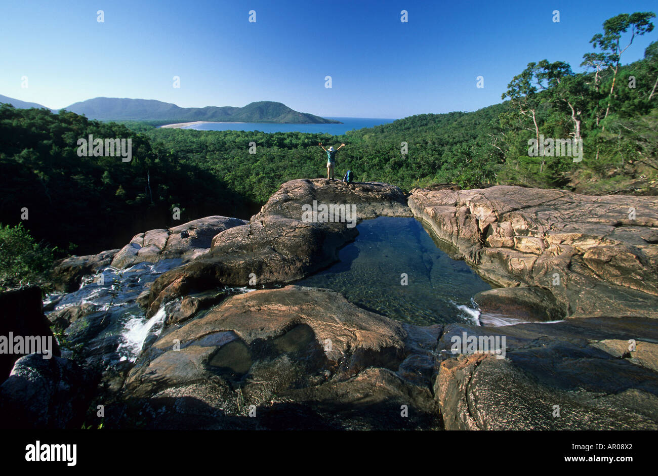 Hinchinbrook Island, bush walk, Australien, Queensland, Hinchinbrook