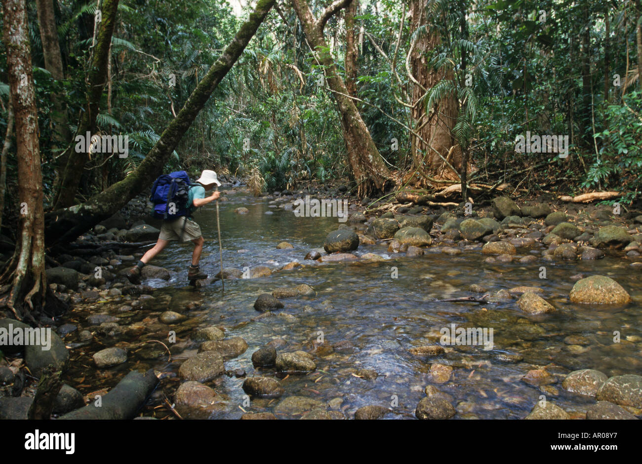 Bushwalk hi-res stock photography and images - Alamy