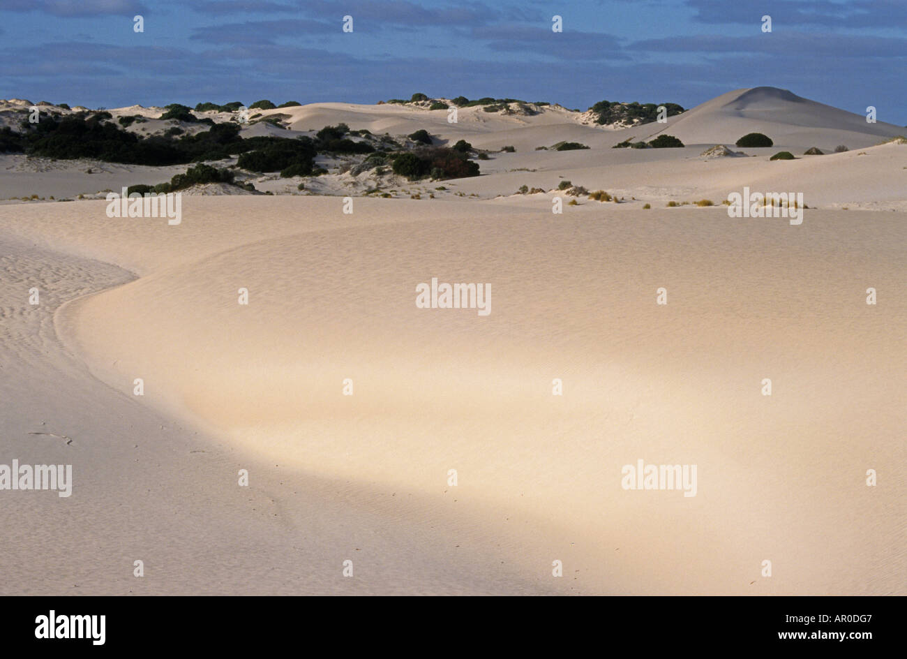 White sand dunes, Fitzgerald River, National Park, Western Australia, Australia Stock Photo