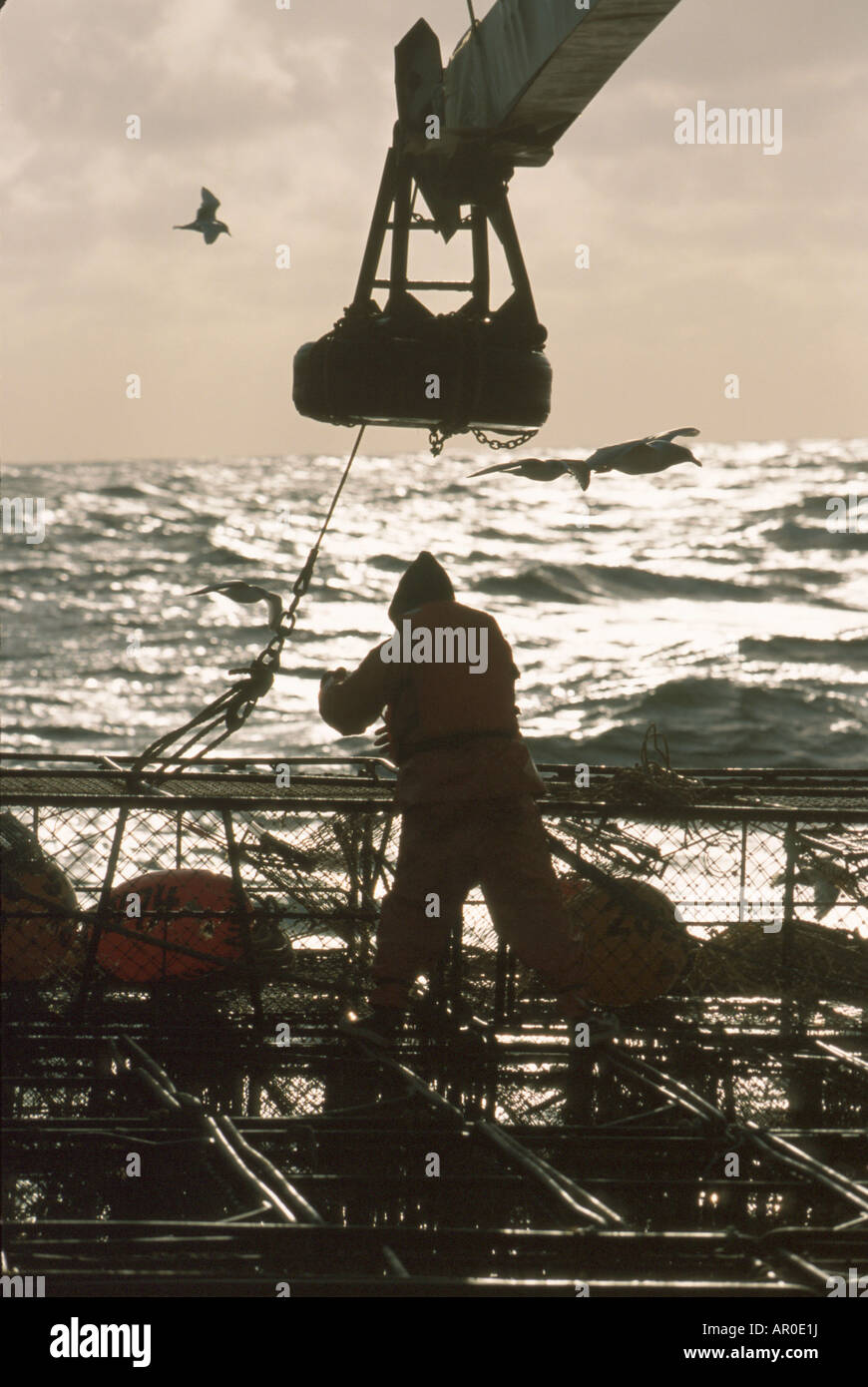 Fisherman Stacking Crab Pots on Deck Bering Sea SW AK /nOpilio Crab Season F/V Erla N Stock Photo