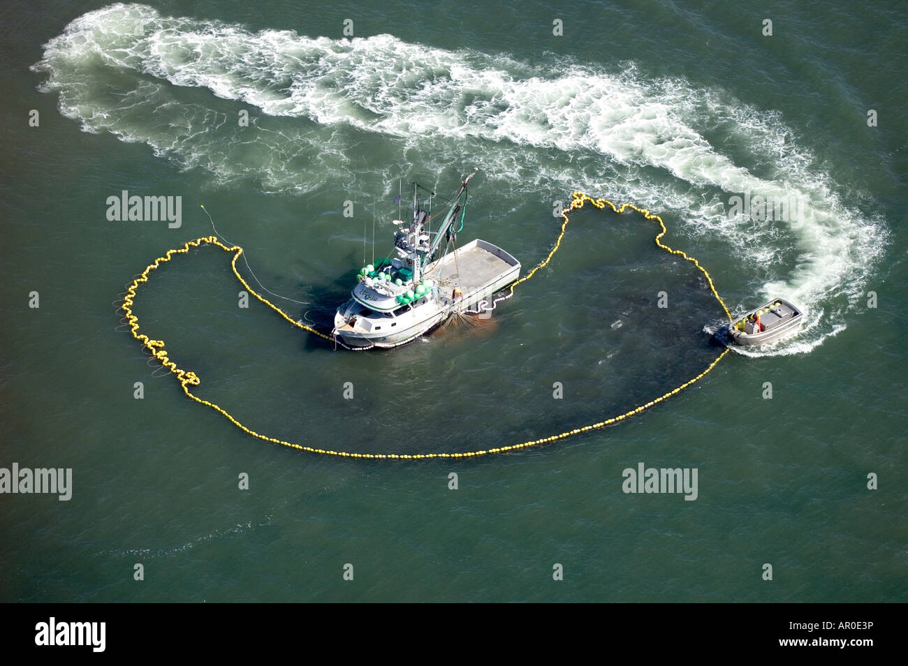 Aerial of Seiner w/Big Catch Herring SW AK Spring Togiak Nat Wildlife