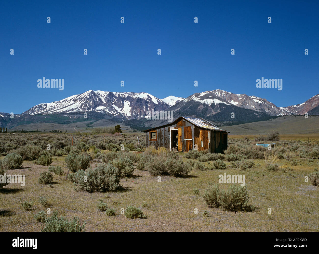 Abandoned huts, Mono Lake, Lee Vining, California, USA Stock Photo - Alamy