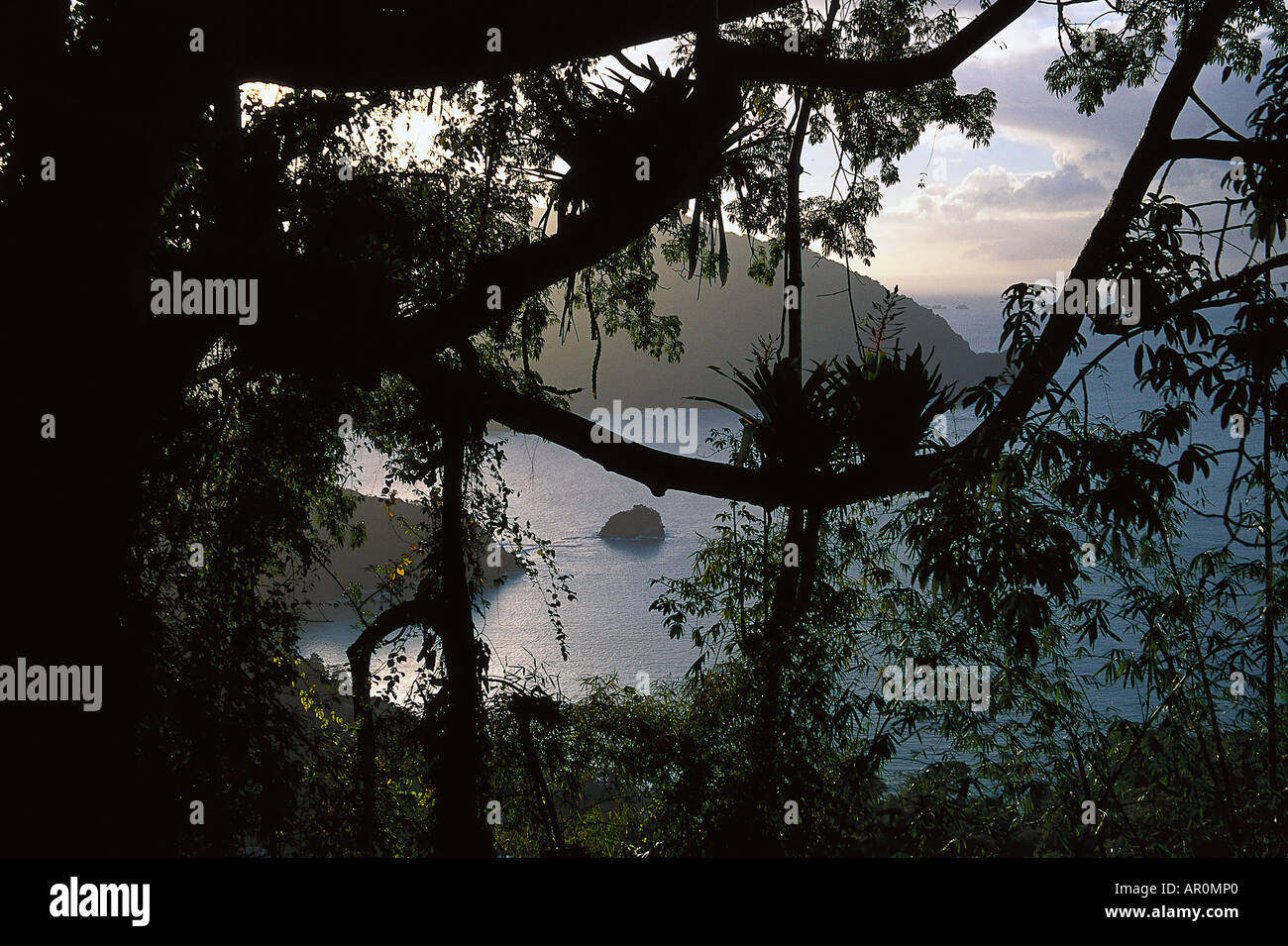 Regenwald ueber der Pirate´s Bay, Nordkueste Tobago, West Indies, Karibik Stock Photo