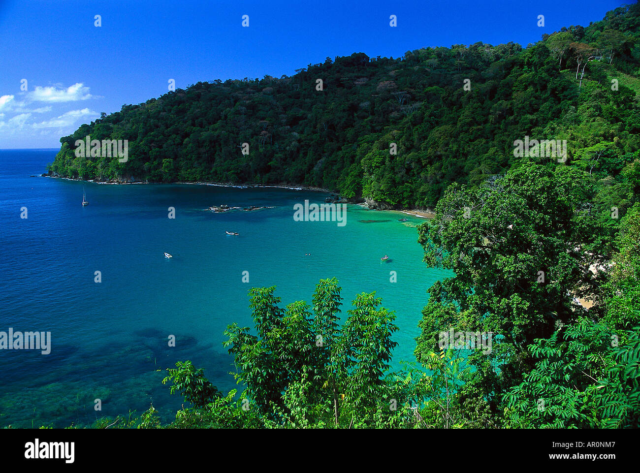 Pirate´s Bay bei Charlotteville, Tobago West Indies, Karibik Stock Photo