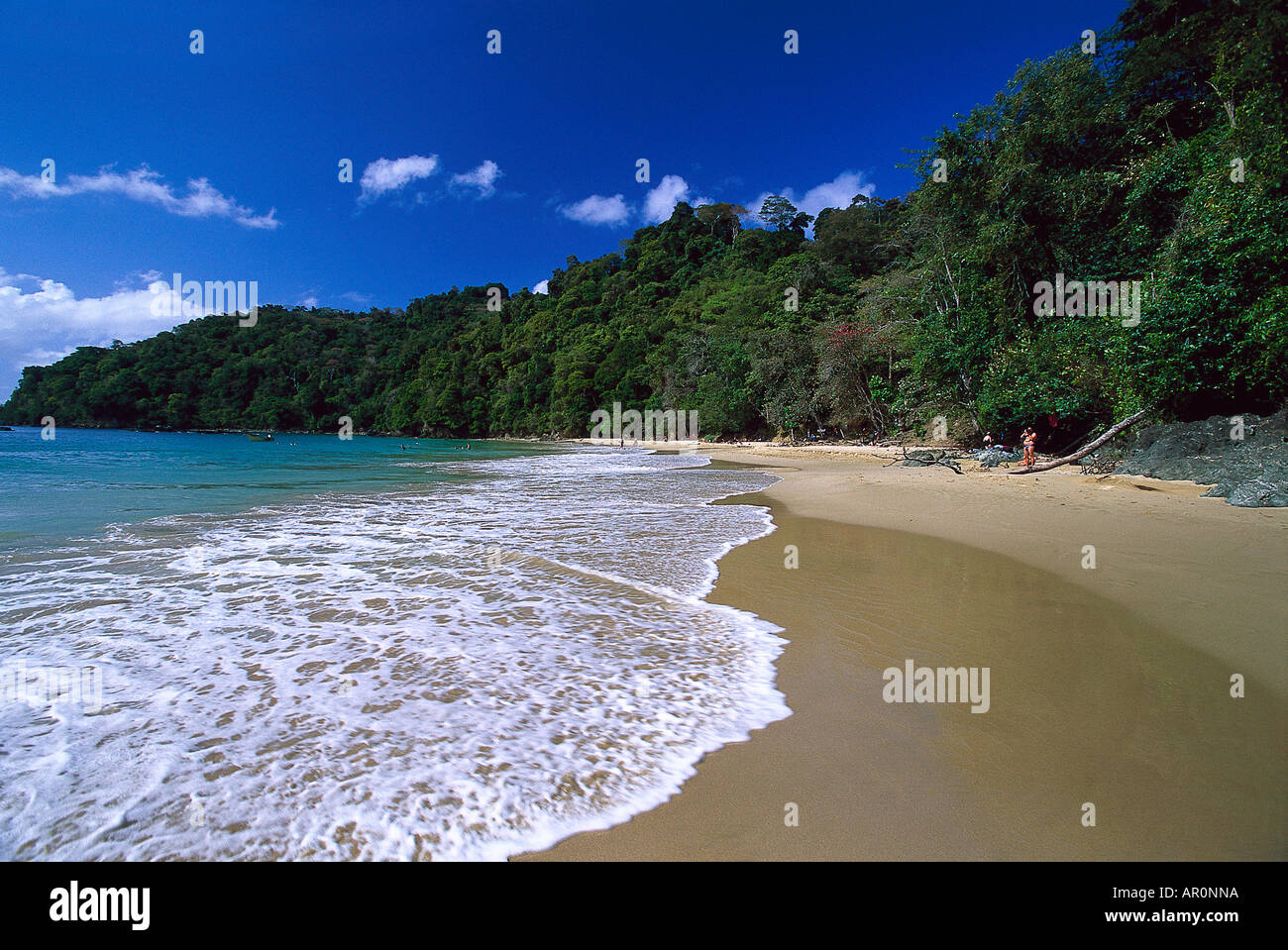 Sandstrand, Pirate´s Bay, bei Charlotteville Tobago, West Indies