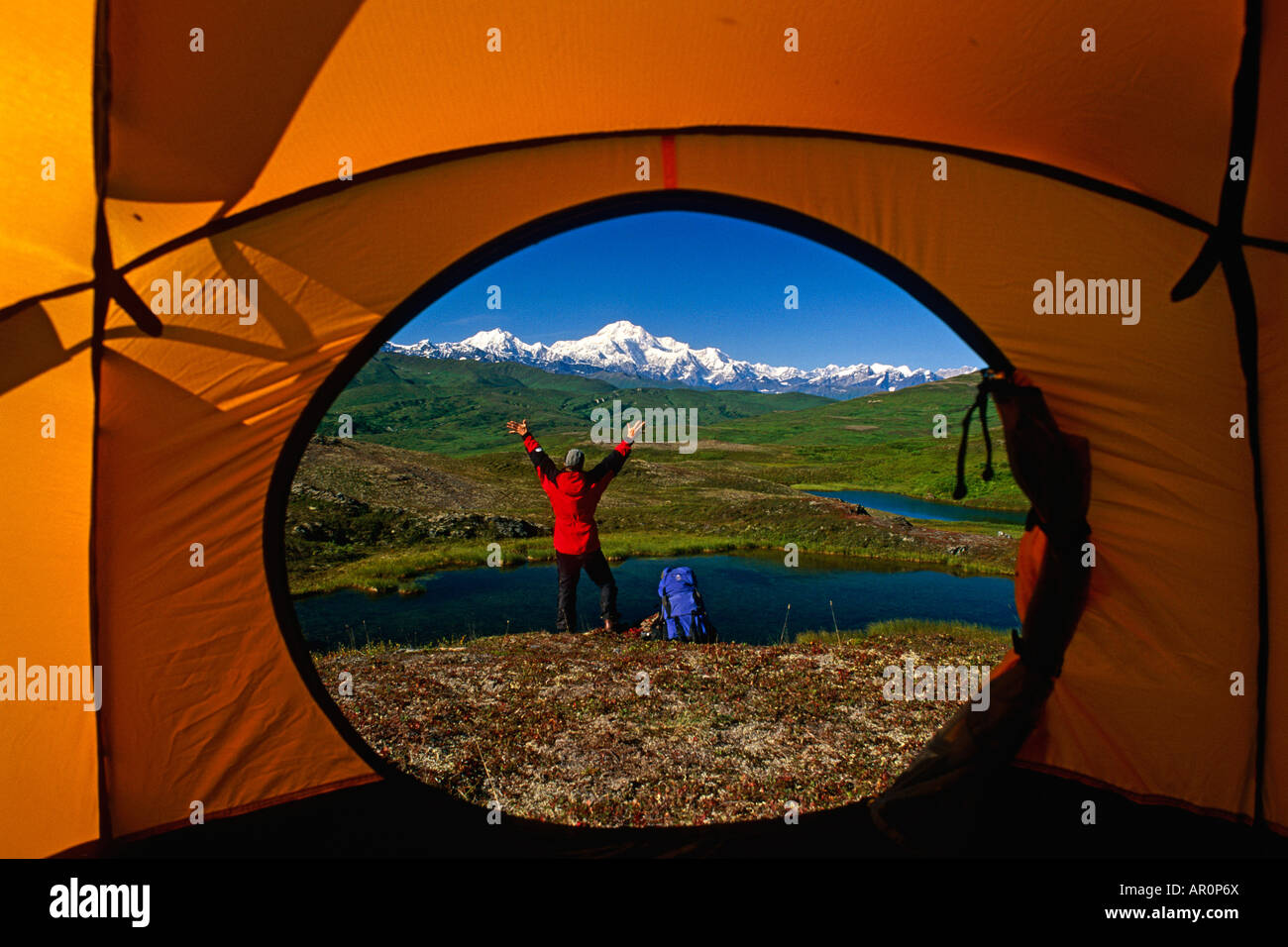 Hiker Seen Through Tent Entrance Mt Mckinley SC AK Stock Photo