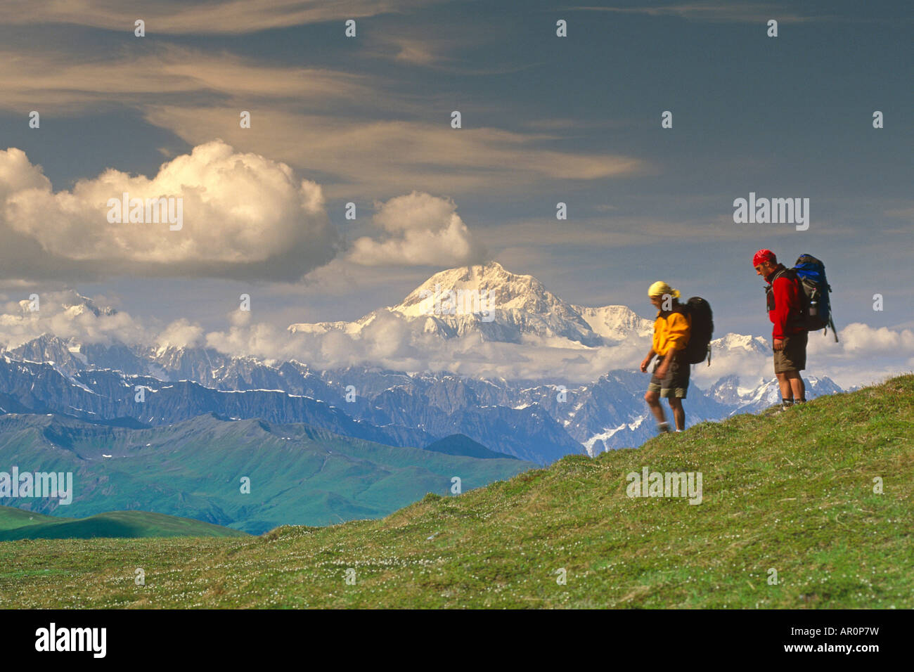Hikers on Tundra in Denali State Park SC Alaska Summer w/Mt McKinley background Stock Photo