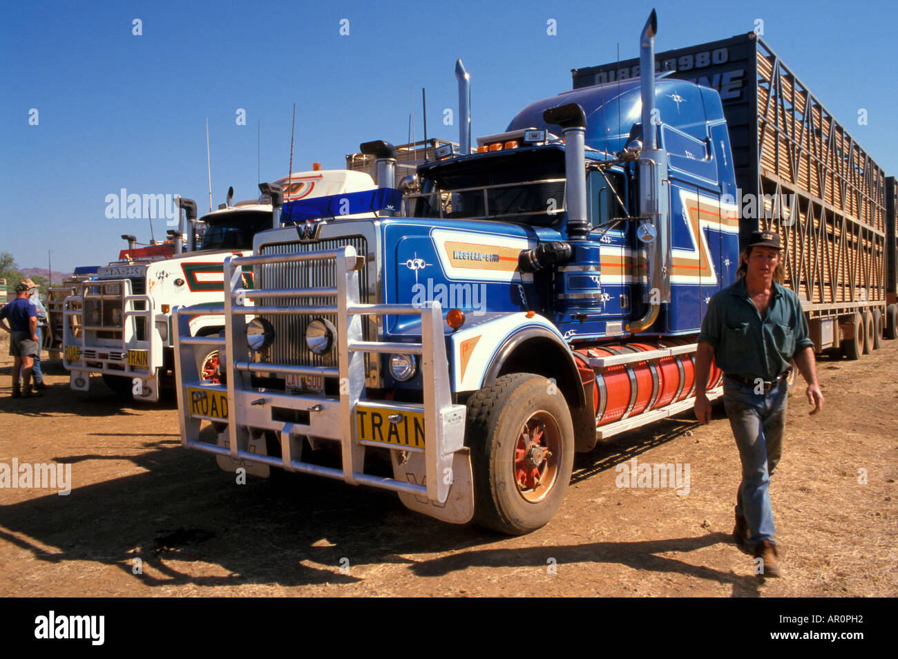 Road train, Cattle trucking, Lansdowne Station, Kimberley, Western Australia, Australia Stock Photo