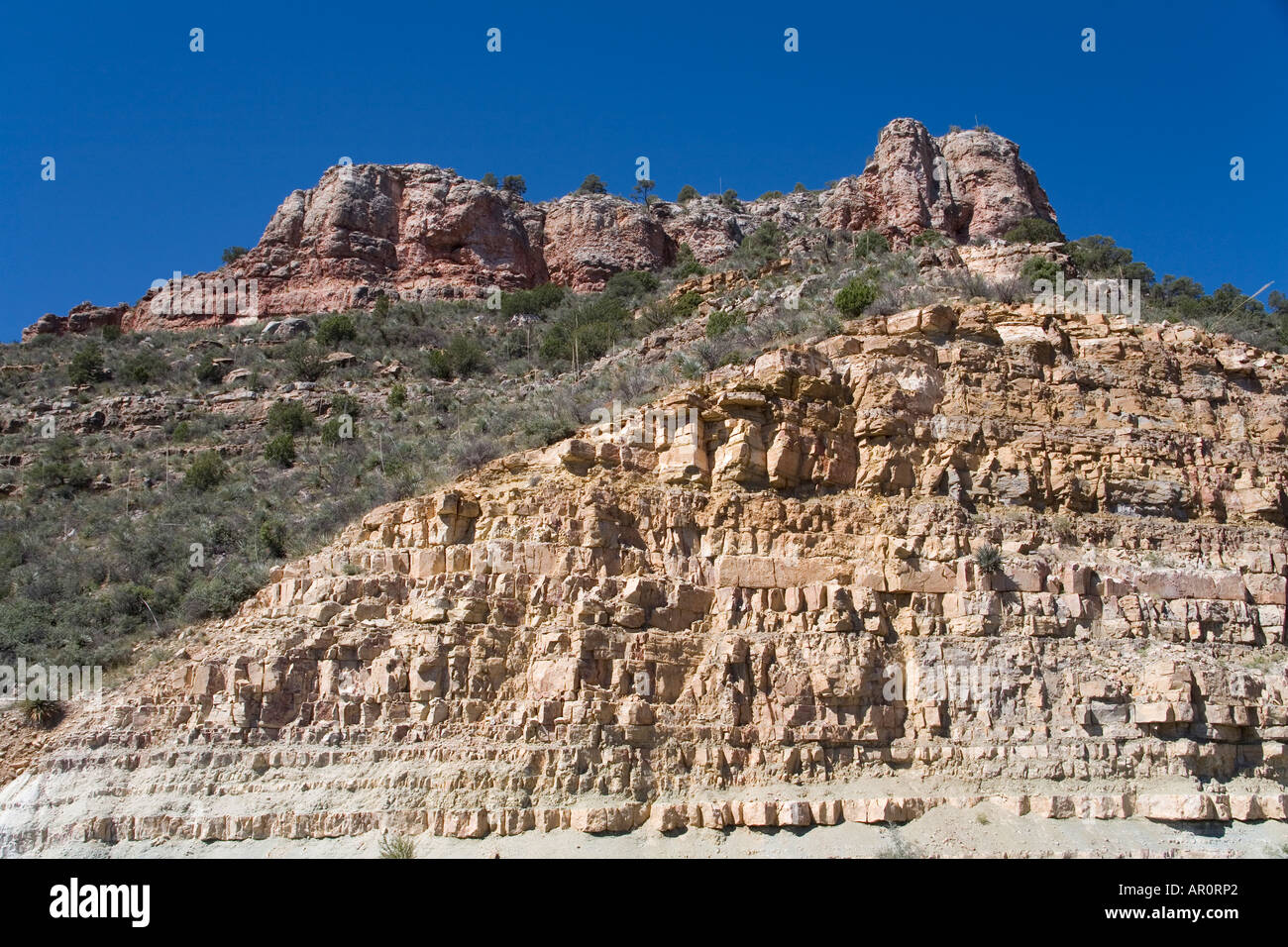 Apache Sitgreaves National Forest, Apache Indian Reservation, White