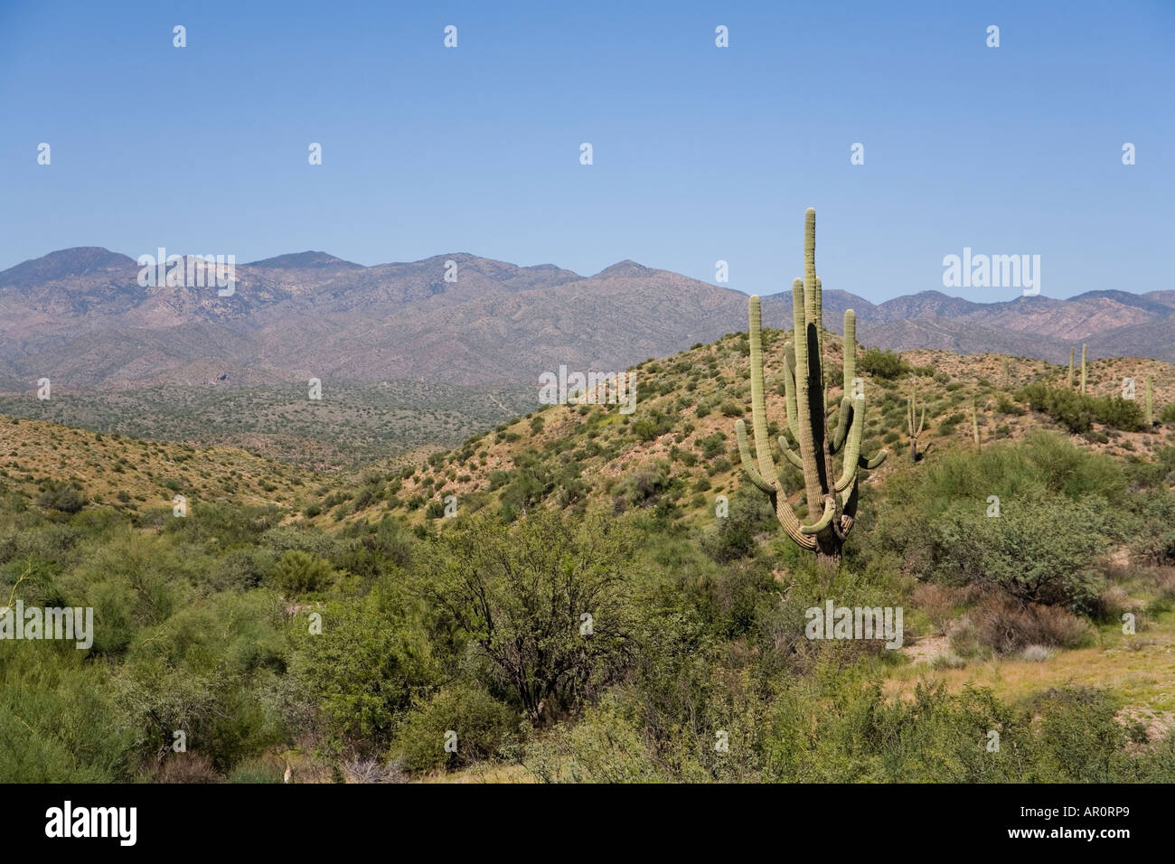 Phoenix Valley, Valley of the Sun, Arizona, USA Stock Photo - Alamy