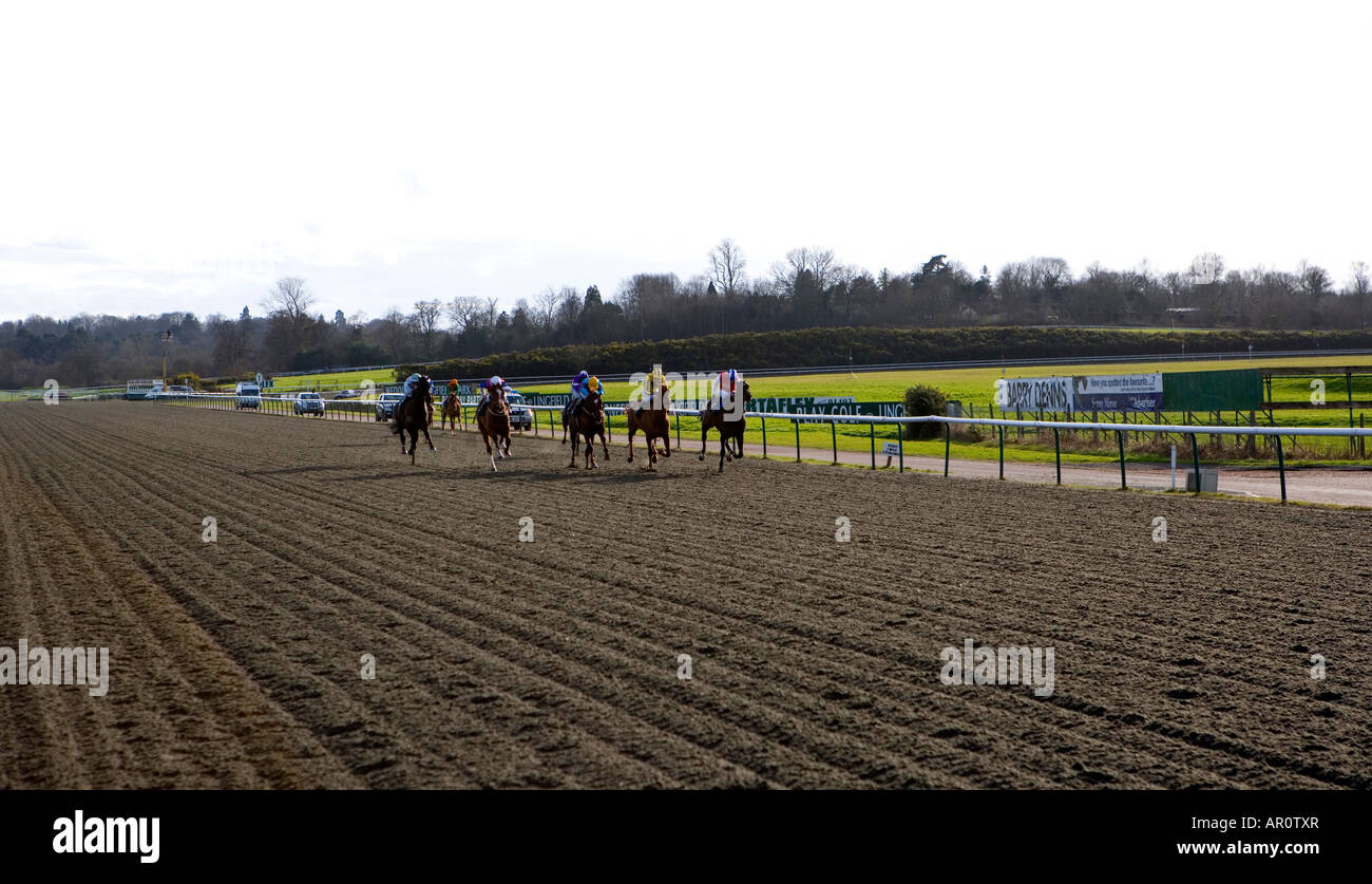 Horse racing lingfield park races hires stock photography and images