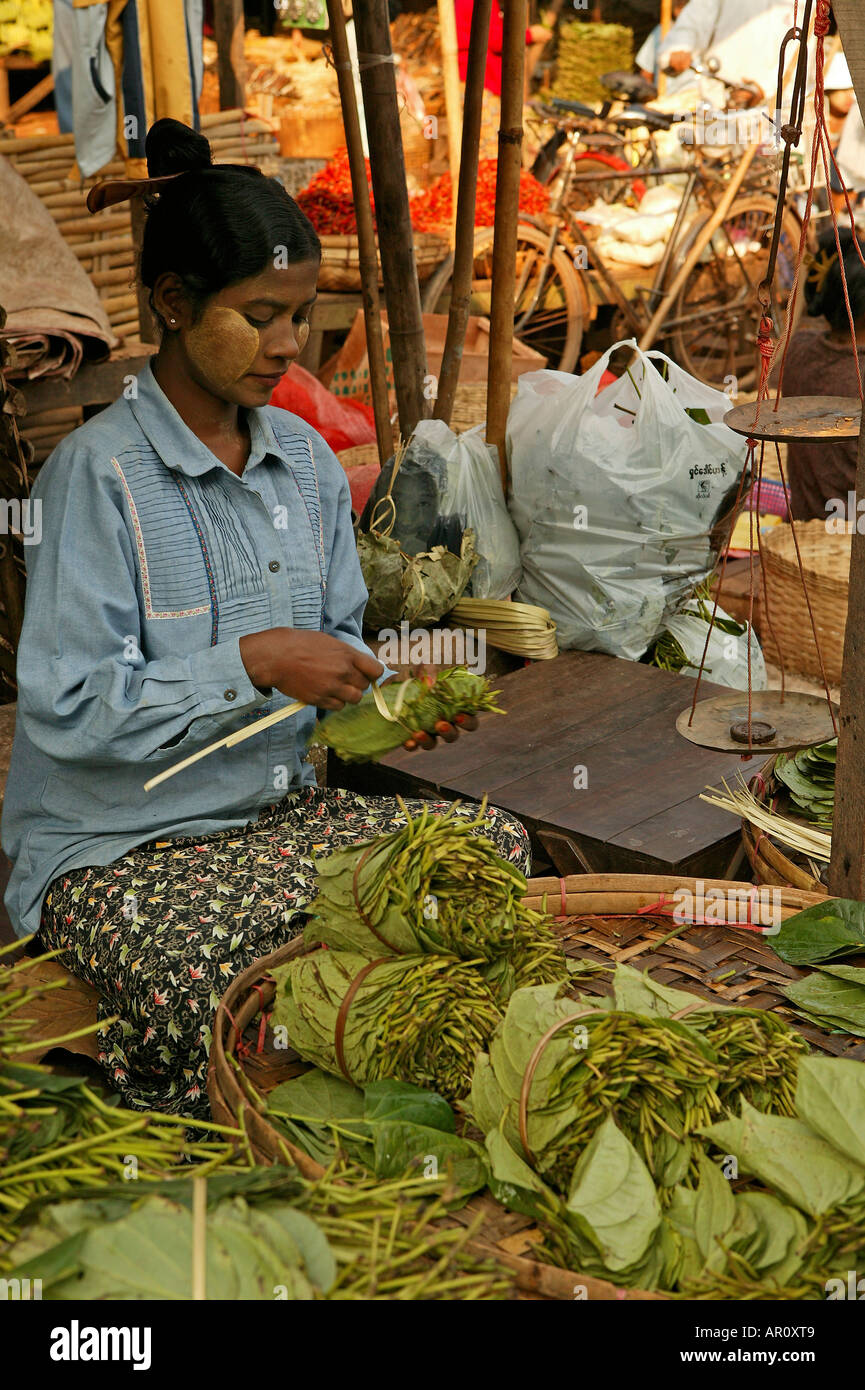 Betel leaves, Bago market, Burmese woman wraps betel leaves to sell at Bago's market Burmesische verkaueferin mit Betelblaettern Stock Photo