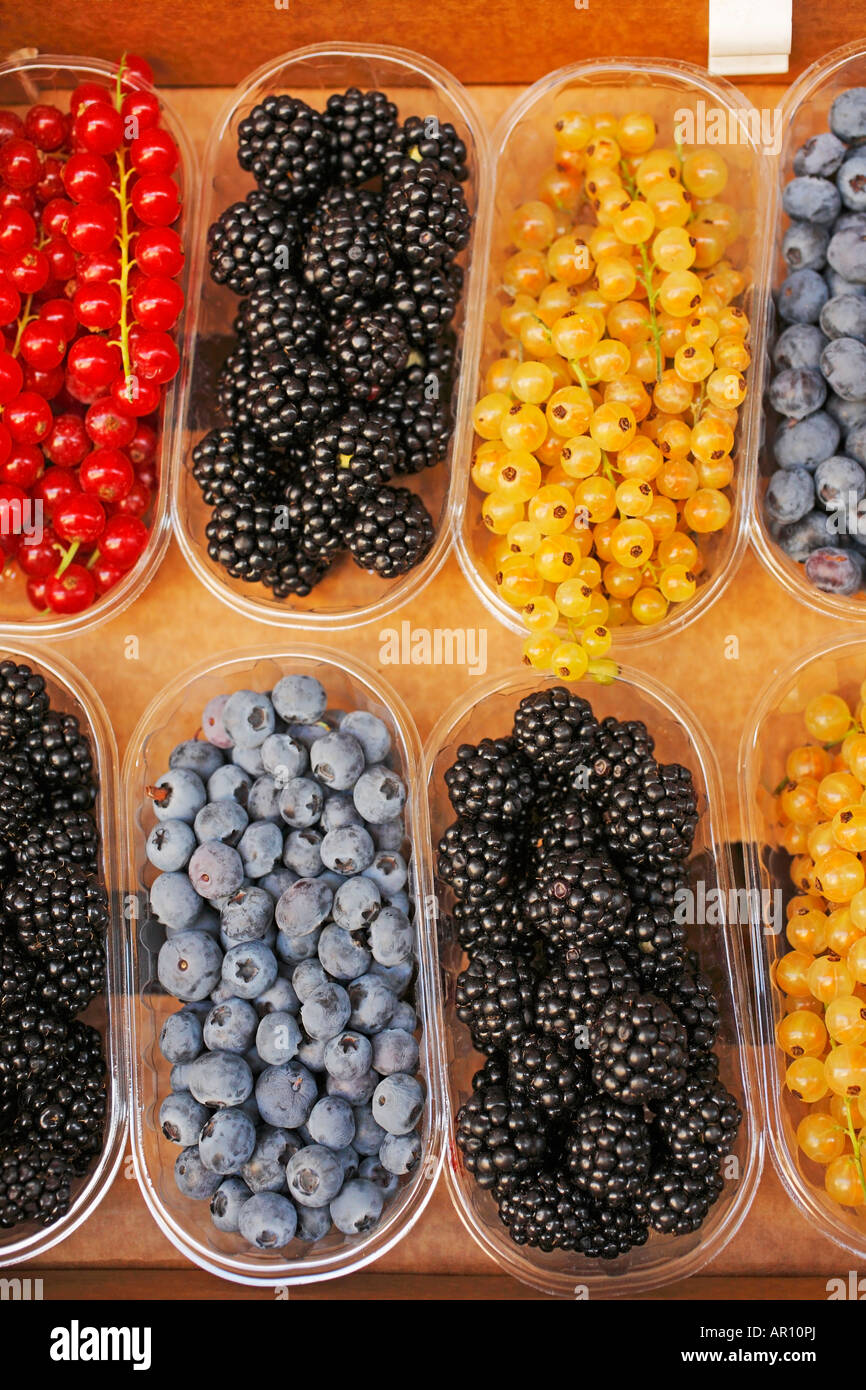 https://c8.alamy.com/comp/AR10PJ/several-types-of-berries-on-display-at-the-local-market-in-tuscany-AR10PJ.jpg