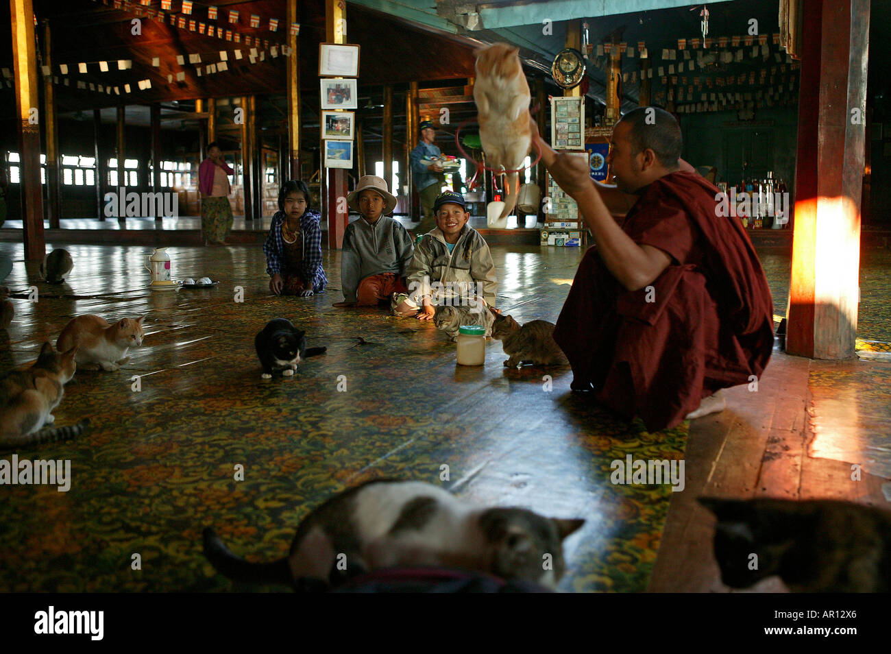 Nga Phe Kyaung, jumping cats, Inle Lake, Monk with jumping cats, Nga Phe Monastery, Inle-See, bekannt als Kloster der springende Stock Photo