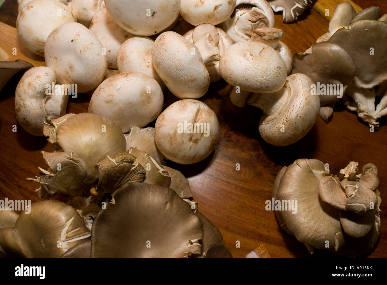 Common button and Portobello mushrooms Stock Photo Alamy