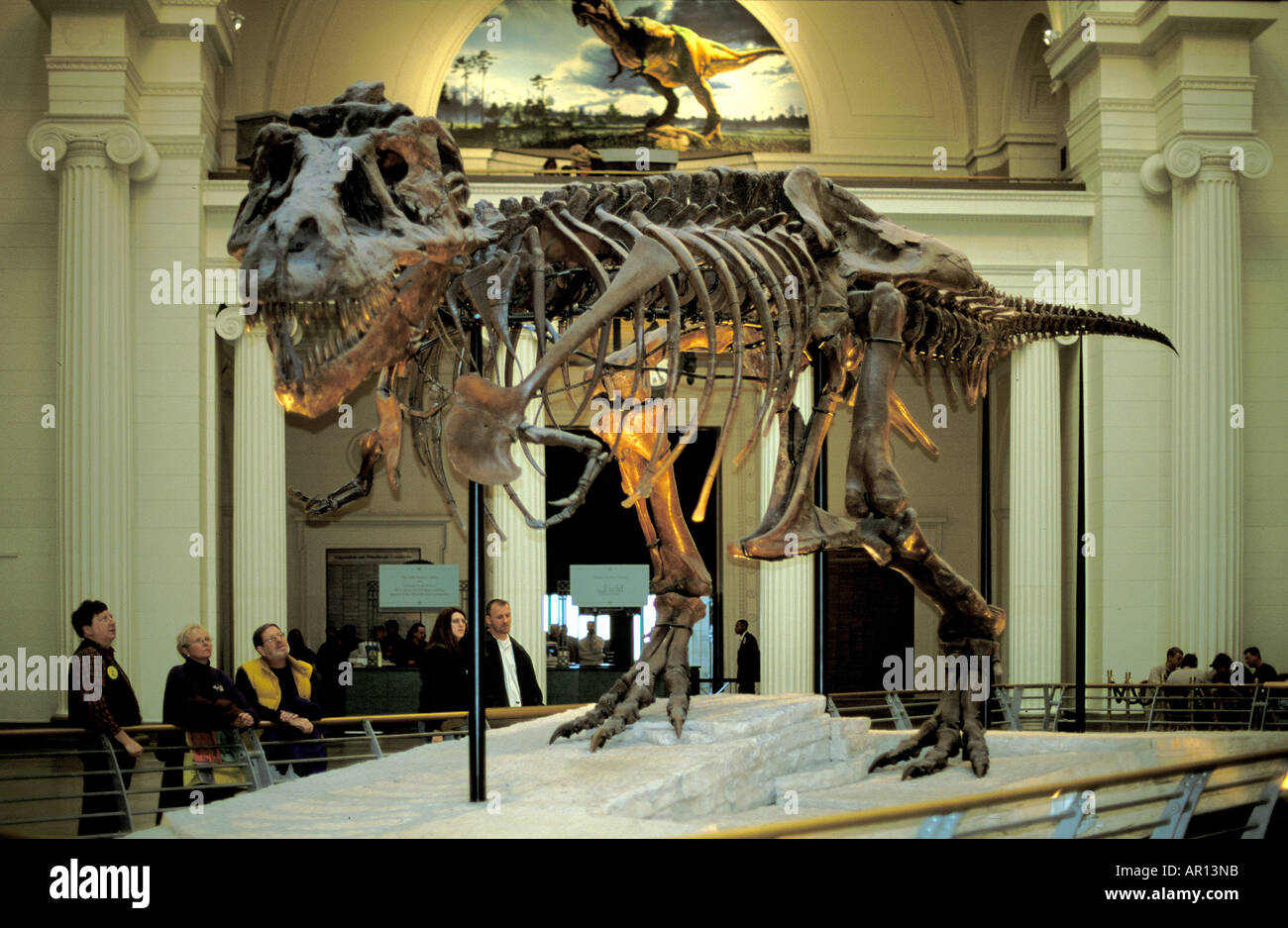 The beautiful huge skeleton of the T Rex Sue at the Museum of Natural History in Chicago USA Stock Photo