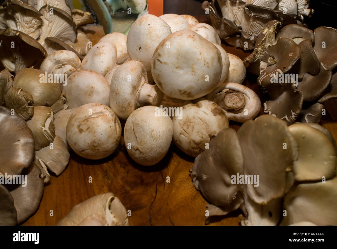 Common button and Portobello mushrooms Stock Photo