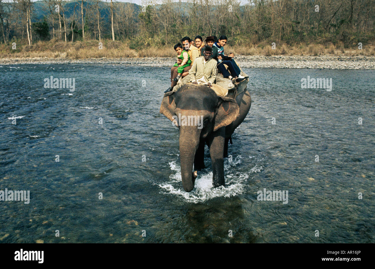 Elephant Safari at Corbett, Tigers are main attraction.It is open from15.11-15.6 due to floods. It has 70,000 visitors a yr. Stock Photo