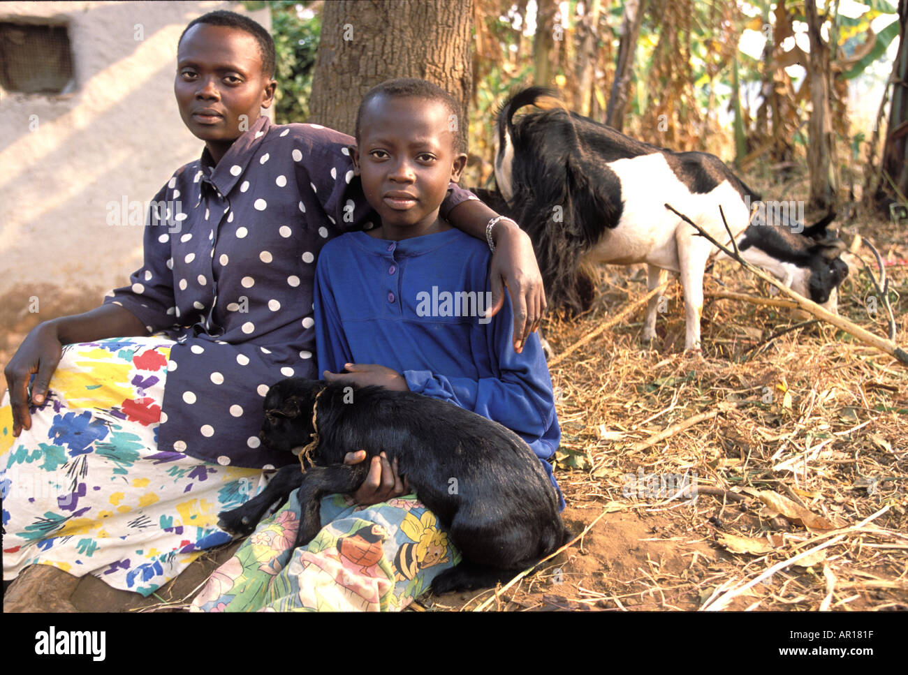 Rwandan genocide orphan teenage Eugenia is mother father to her younger siblings Receives goats from Send a Cow to provide milk Stock Photo