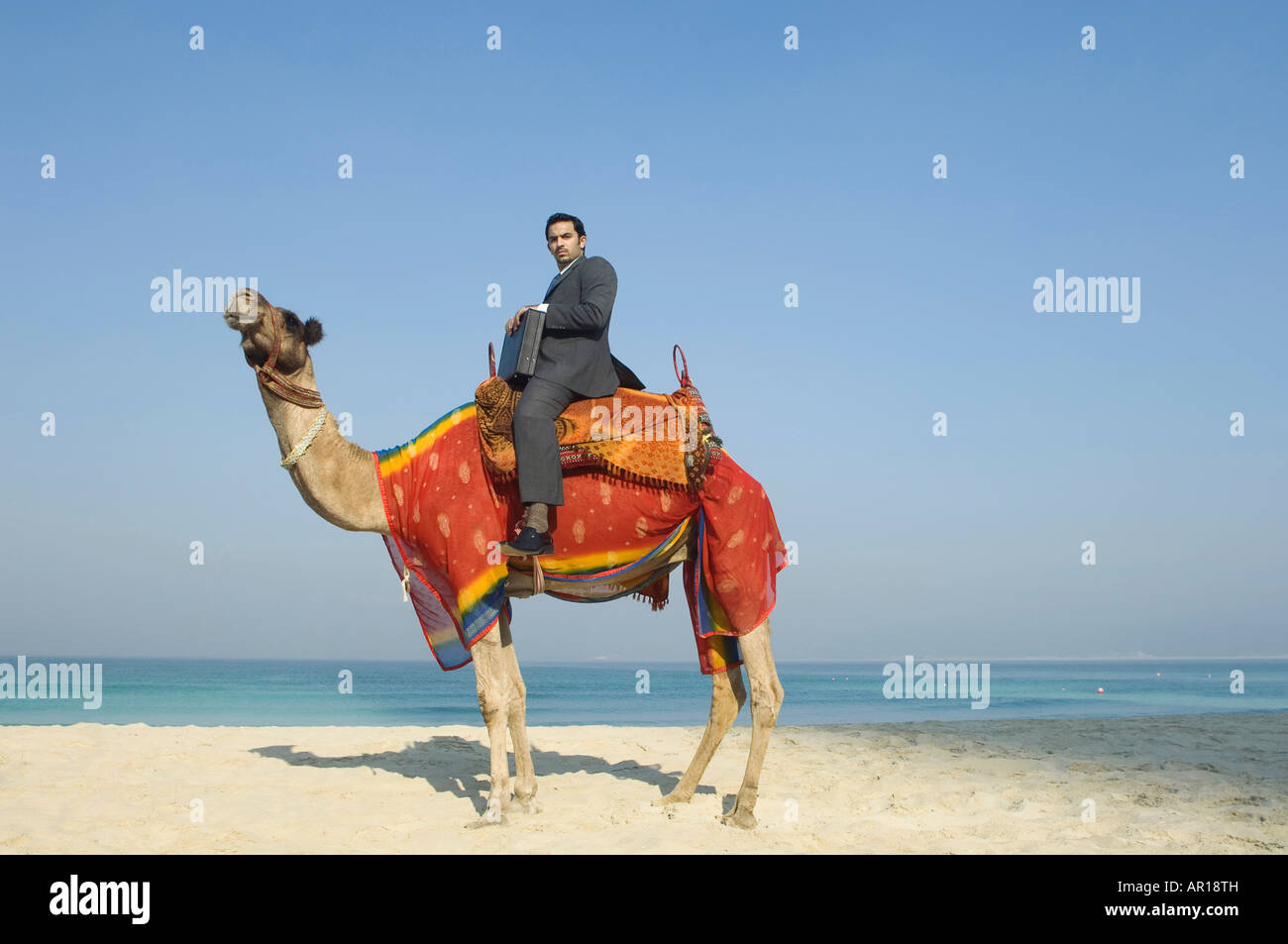 Eccentric camel hi-res stock photography and images - Alamy
