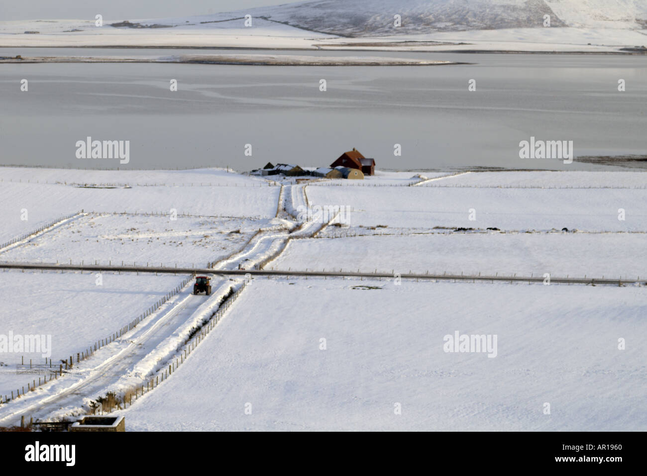 dh  FIRTH ORKNEY White snow fields tractor on road and farm roads snowy track house field winter landscape scotland uk distance Stock Photo