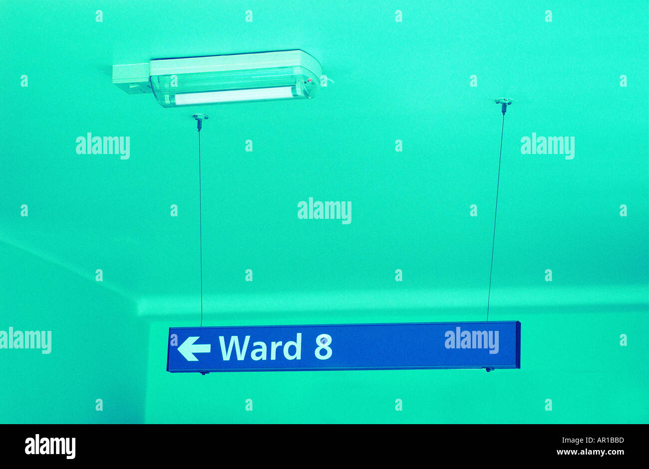 Ward 8 sign in hospital Stock Photo