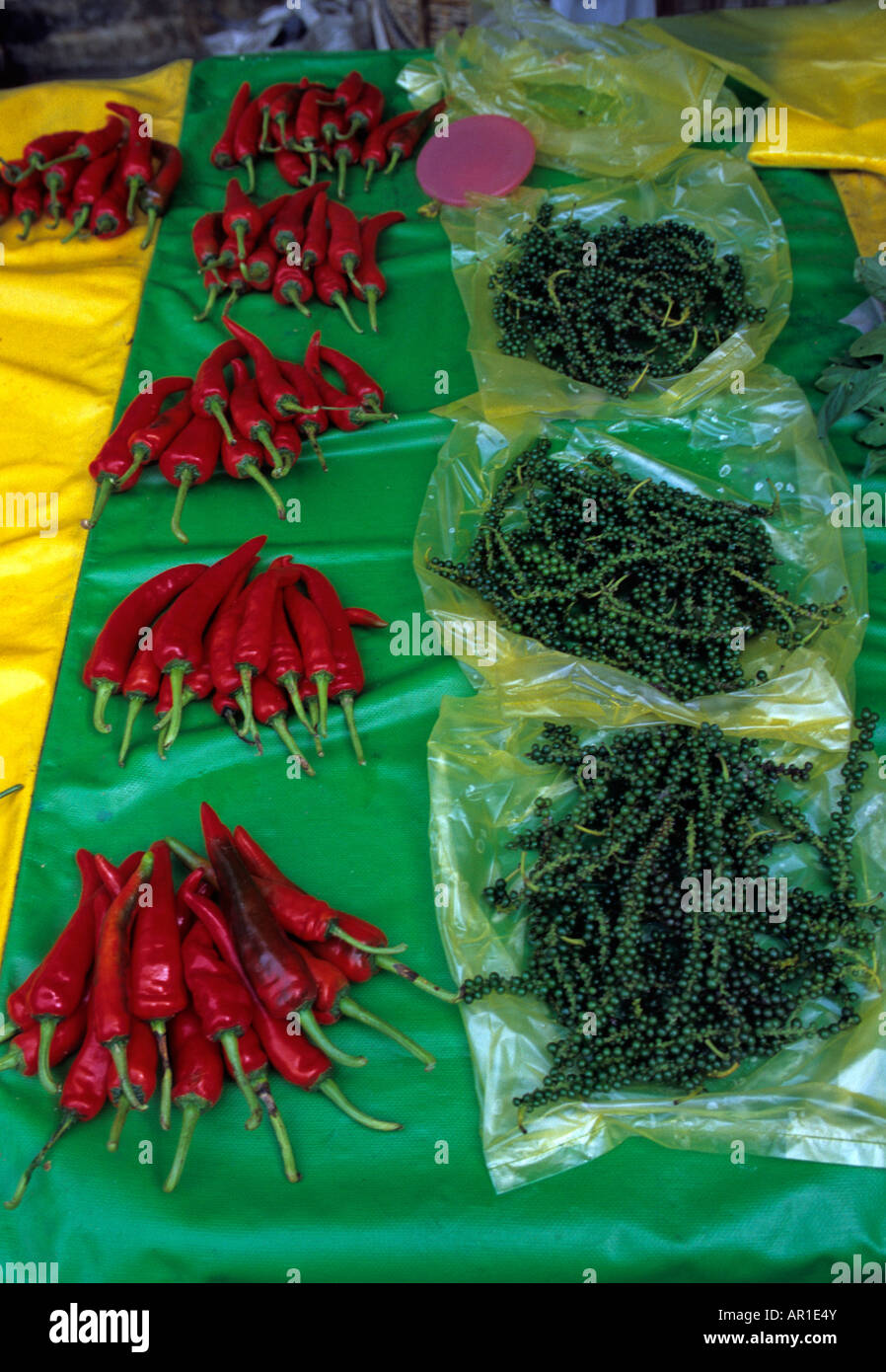 Hot peppers and pepper plant in market, Kuching, Sarawak Malaysia Borneo Stock Photo Alamy