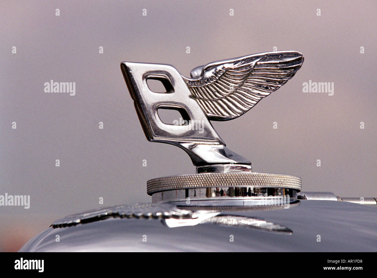 Bentley hood ornament Stock Photo Alamy