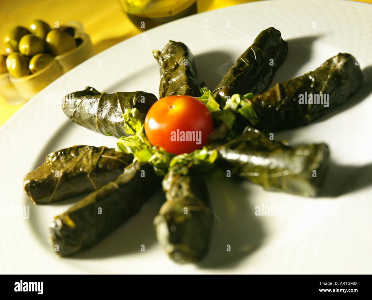Stuffed GrapeVine Leaves served as appetizer Stock Photo Alamy
