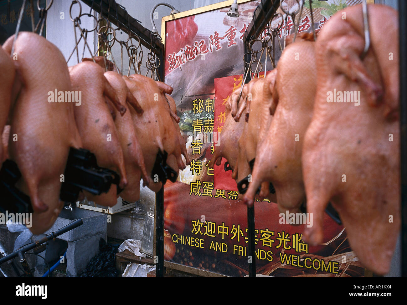 Ducks, Market near Fuxing Road, French Concession Shanghai, VR China Stock Photo