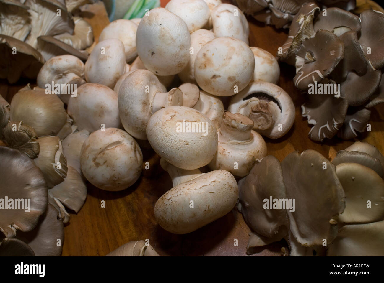 Common button and Portobello mushrooms Stock Photo Alamy
