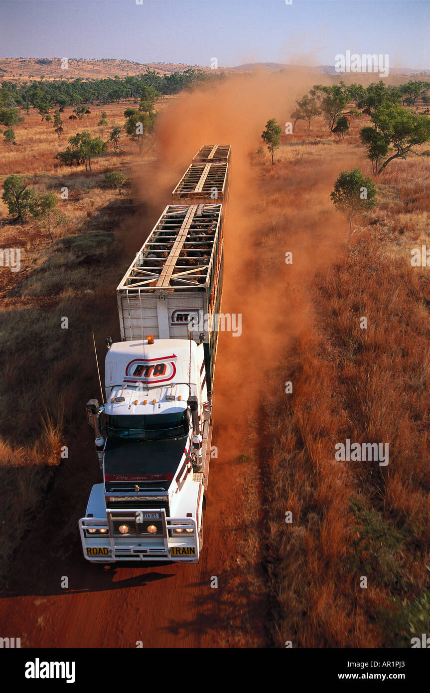 Road train in the desert, Cattle transport, dirt road of Kimberleys, Kimberley, Western Australia, Australia Stock Photo