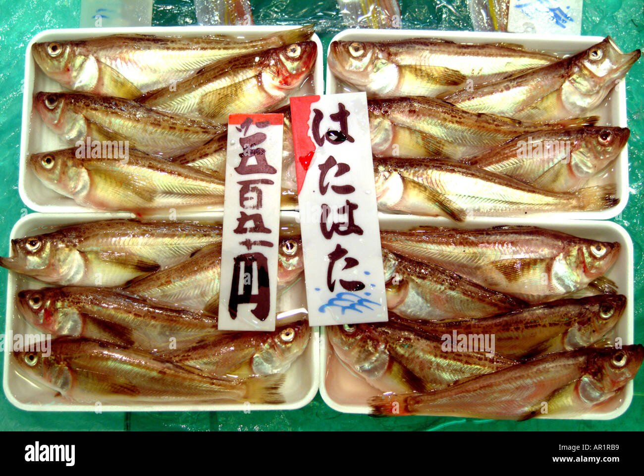 Hata hata fish on a Nishiki street market stall Kyoto Japan Stock Photo -  Alamy