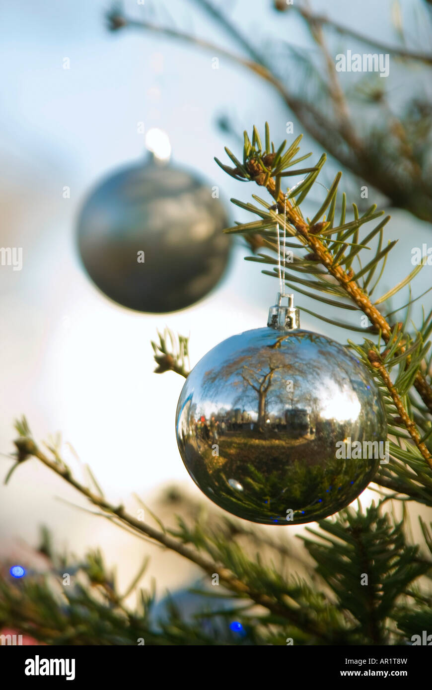 Vertical close up of Christmas baubles and lights decorating a real ...