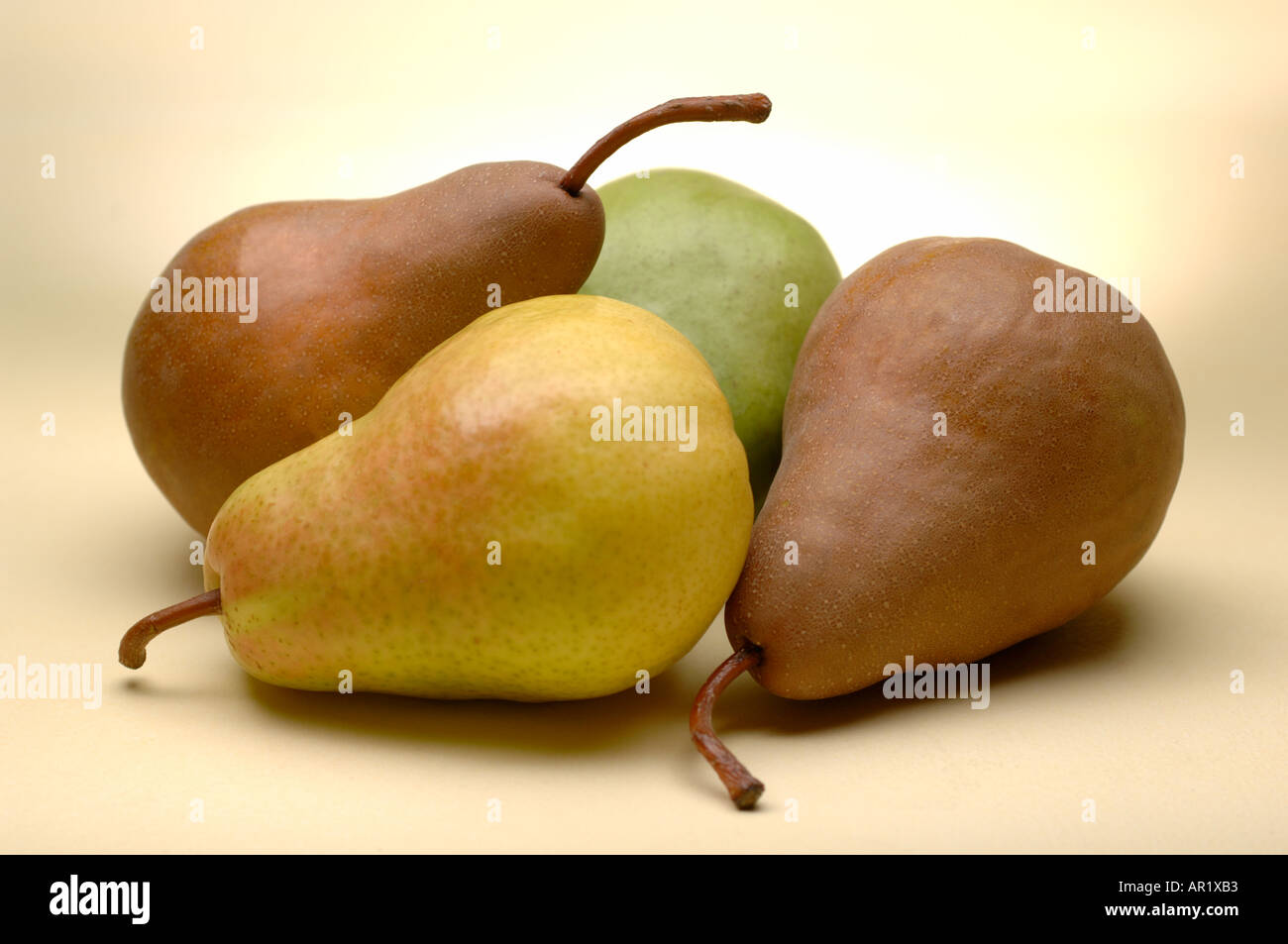 still life image of a group of 4 four mixed pears Bosc Anjou Bartlett Stock Photo