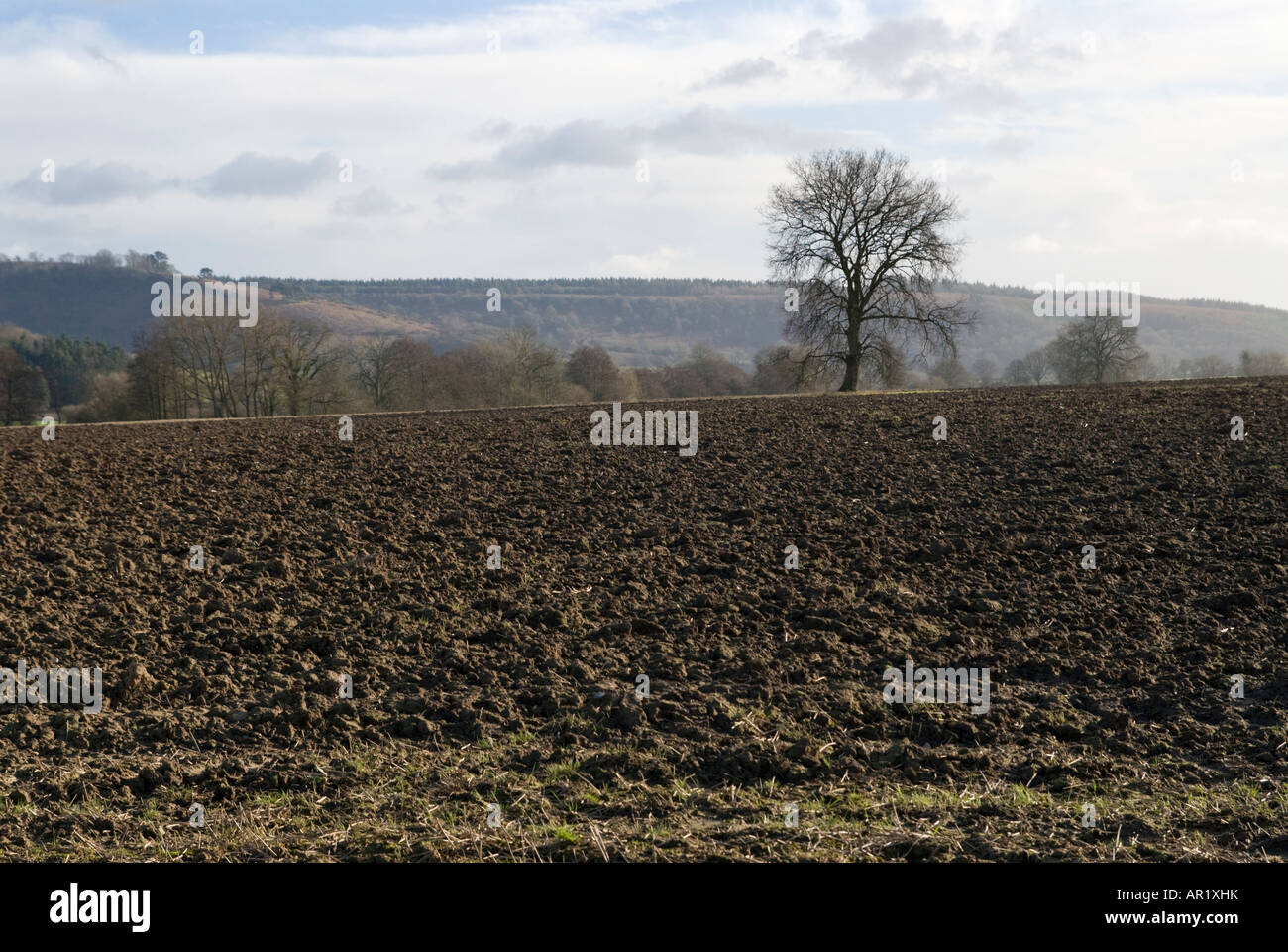A ploughed field in Shropshire, UK Stock Photo