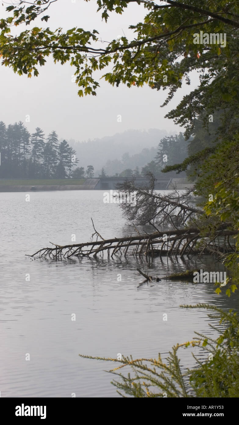 Fog lifting off Unicoi Lake at Unicoi State Park in north Georgia, USA ...