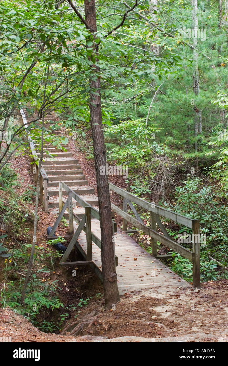 Wooden bridge on hiking trails - Wooden Bridge On Hiking Trails At Tallulah Gorge State Park In North AR1Y6A