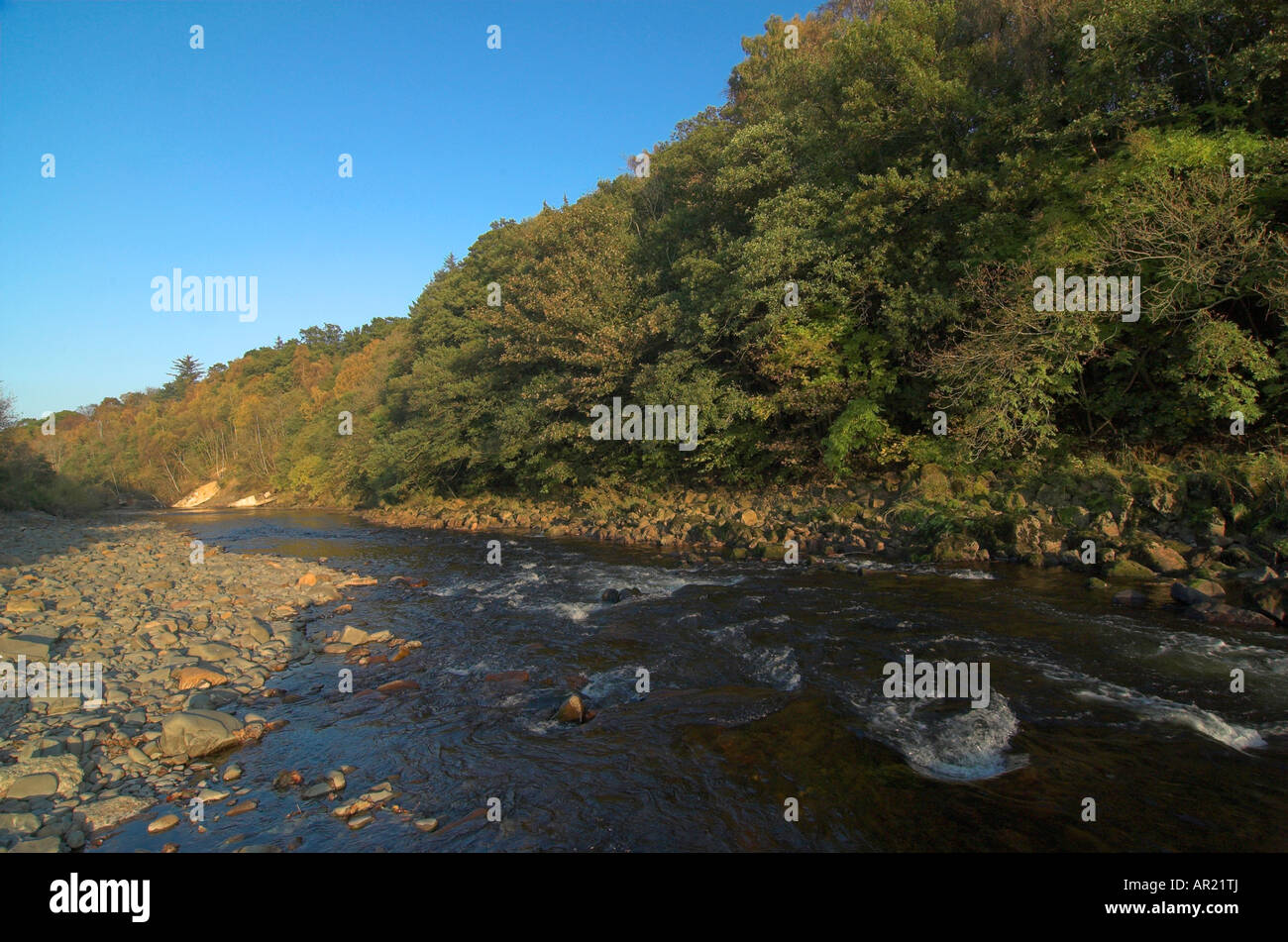 Looking down the River Ettrick just above Selkirk Stock Photo - Alamy