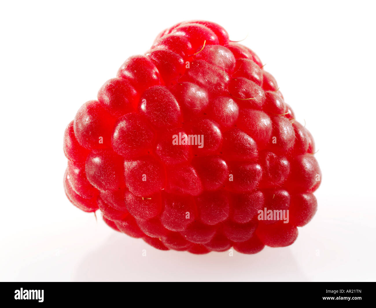 close up of a fresh whole Raspberry on a white background Stock Photo