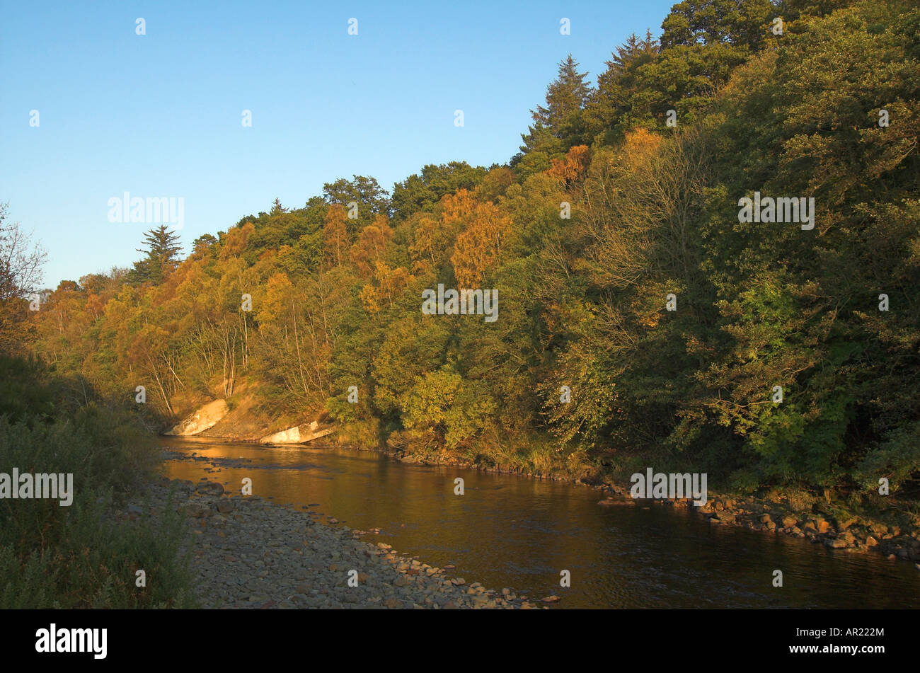 Looking down the River Ettrick just above Selkirk Stock Photo - Alamy
