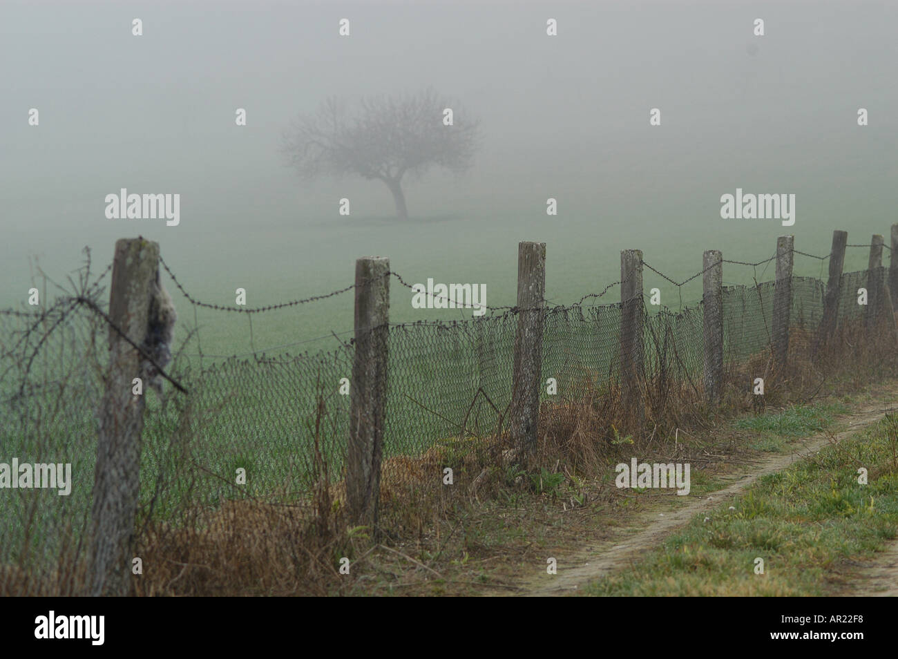 Small rural road Winter in Mallorca Fog Pla Interior of Majorca Spain Europe Mediterranean Stock Photo