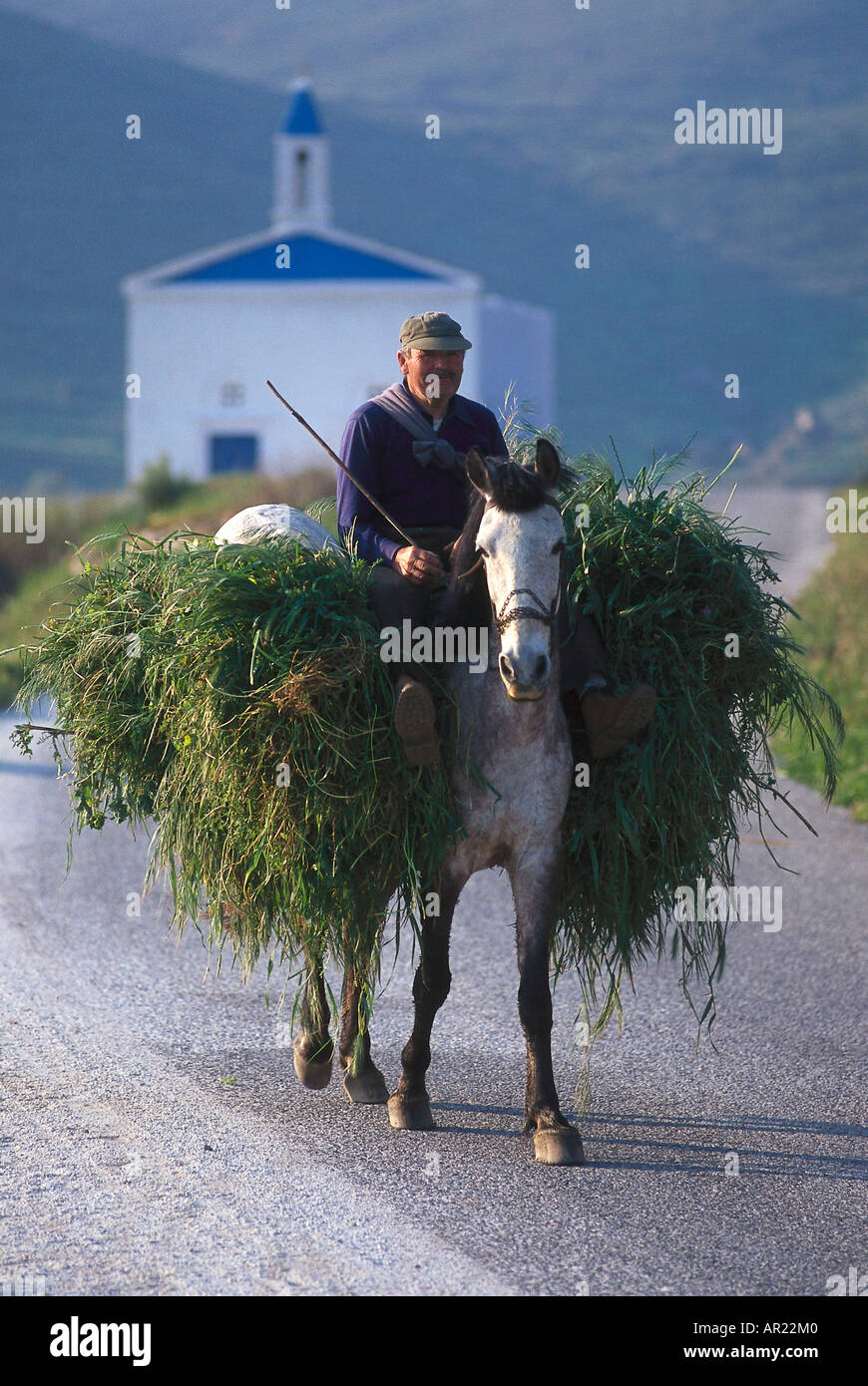Komi is the people of the North. Traditions, culture, customs Komi is the people of the North. Traditions, culture, customs