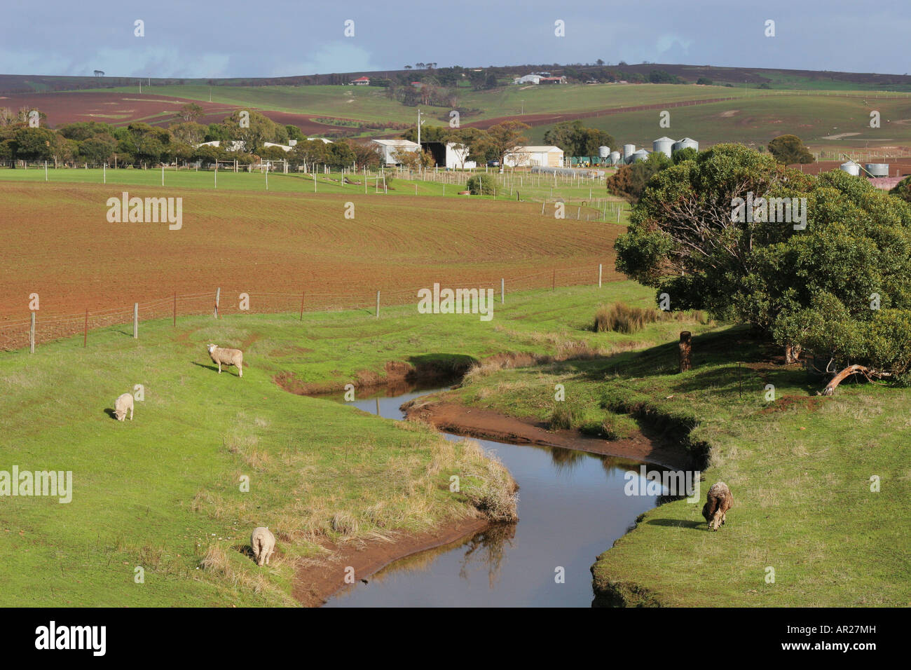 Green farm land Eyre Peninsula South Australia Stock Photo Alamy