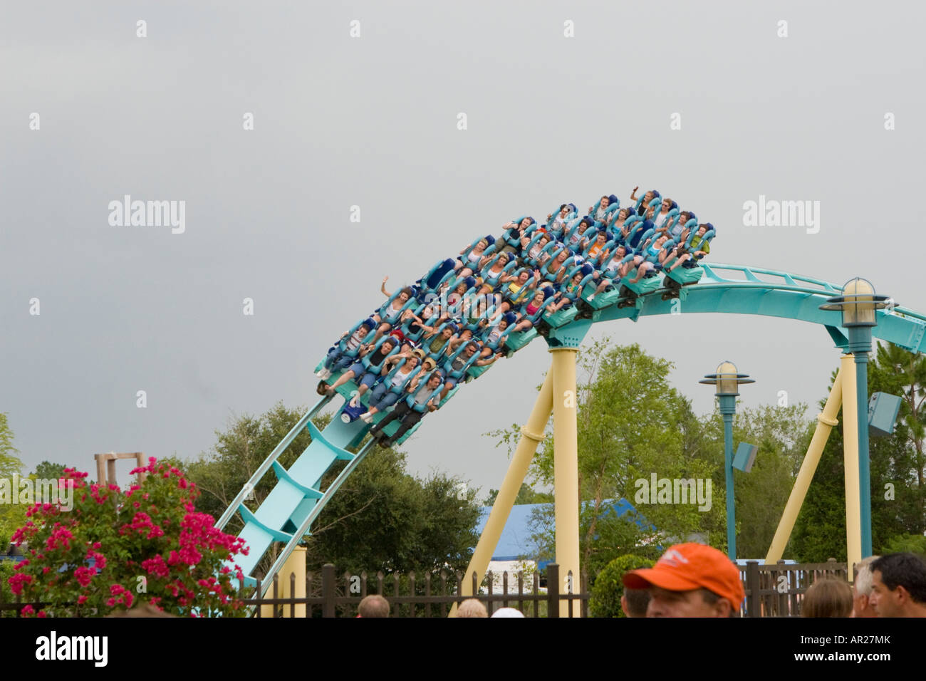 Roller coaster, SeaWorld, San Antonio, Texas Stock Photo - Alamy