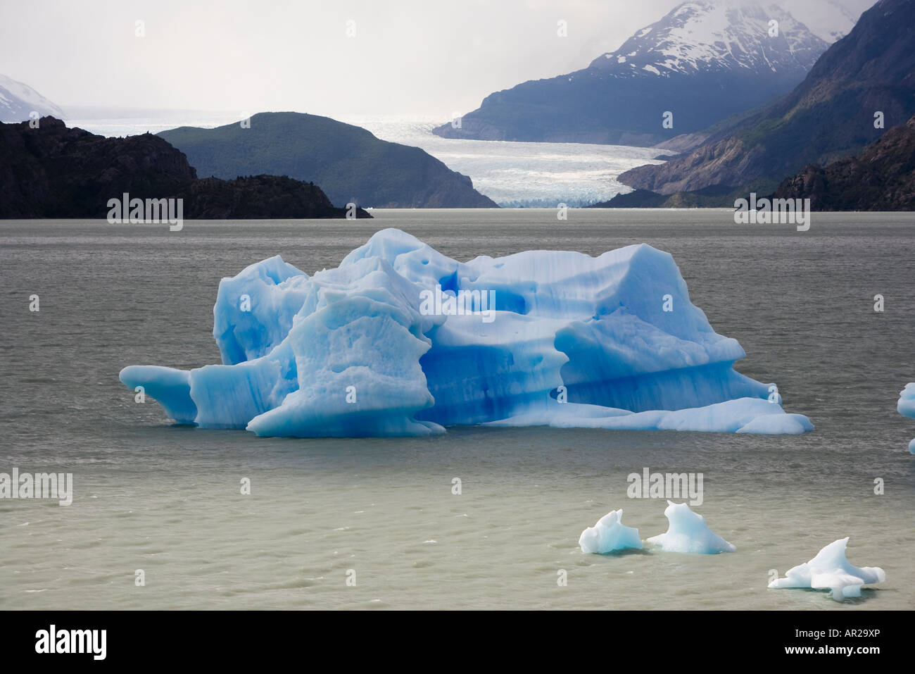 Iceberg Lago Grey Torres del Paine National Park Patagonia Chile Stock Photo
