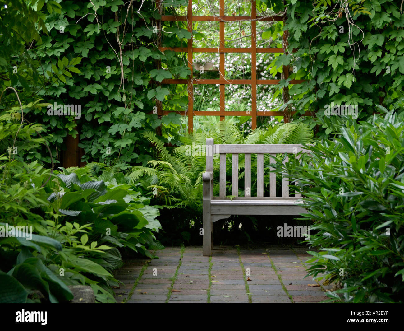 Shade garden Stock Photo