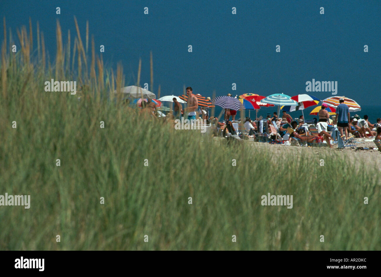 Beach at Amagansett, The Hamptons, Long Island, USA Stock Photo Alamy