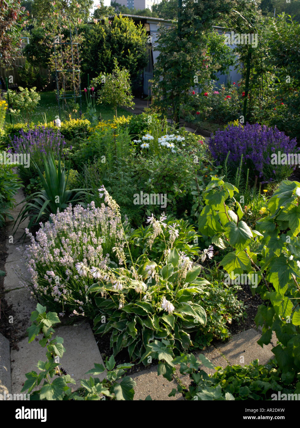 Allotment garden Stock Photo